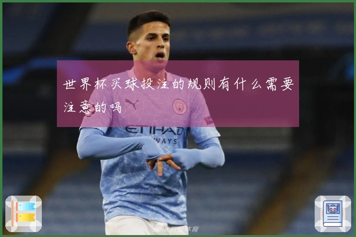 世界杯买球投注的规则有什么需要注意的吗