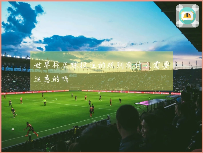世界杯买球投注的规则有什么需要注意的吗