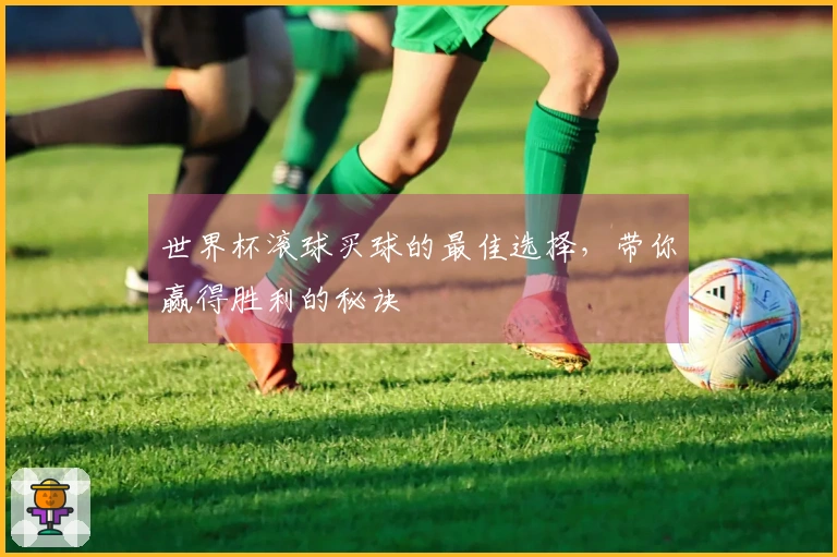 世界杯滚球买球的最佳选择，带你赢得胜利的秘诀