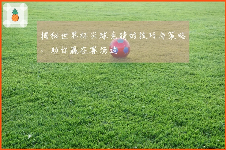 揭秘世界杯买球竞猜的技巧与策略,助你赢在赛场边
