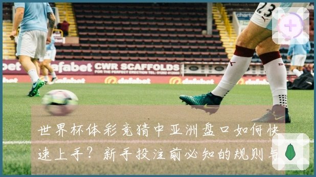 世界杯体彩竞猜中亚洲盘口如何快速上手？新手投注前必知的规则与技巧