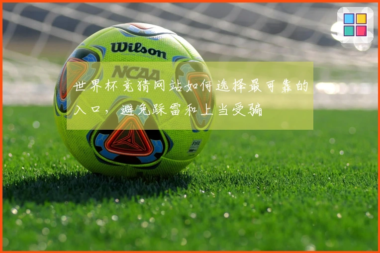 世界杯竞猜网站如何选择最可靠的入口，避免踩雷和上当受骗