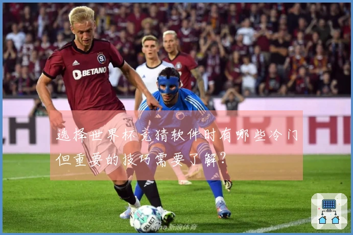 选择世界杯竞猜软件时有哪些冷门但重要的技巧需要了解？