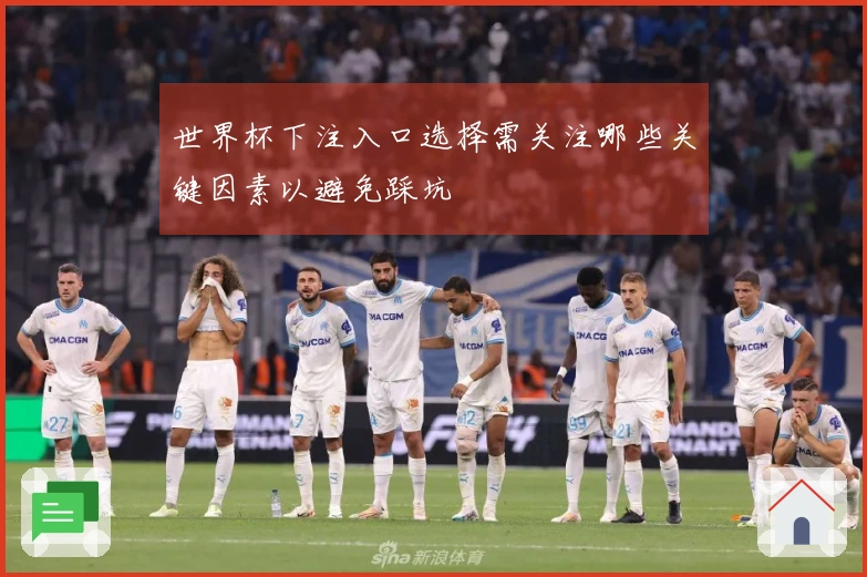 世界杯下注入口选择需关注哪些关键因素以避免踩坑