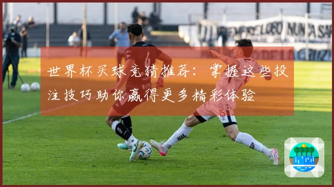 世界杯买球竞猜推荐:掌握这些投注技巧助你赢得更多精彩体验