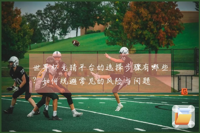 世界杯竞猜平台的选择步骤有哪些？如何规避常见的风险与问题