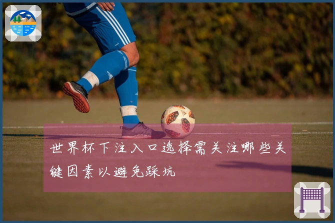 世界杯下注入口选择需关注哪些关键因素以避免踩坑