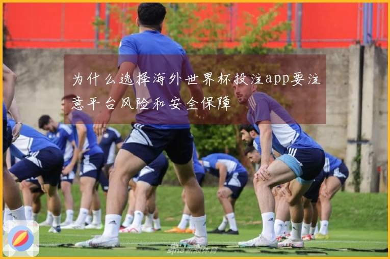 为什么选择海外世界杯投注app要注意平台风险和安全保障