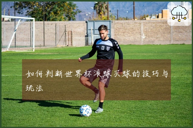 如何判断世界杯滚球买球的技巧与玩法