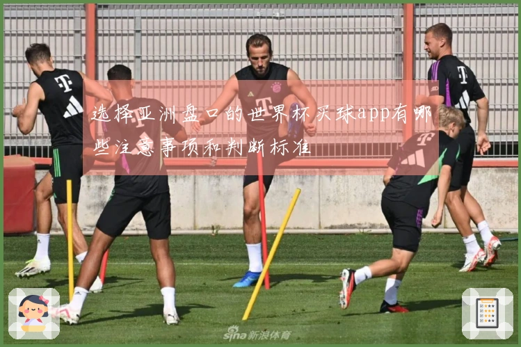 选择亚洲盘口的世界杯买球app有哪些注意事项和判断标准