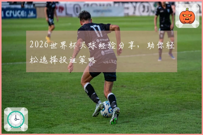 2026世界杯买球经验分享，助你轻松选择投注策略