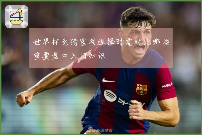 世界杯竞猜官网选择时需对比哪些重要盘口入门知识
