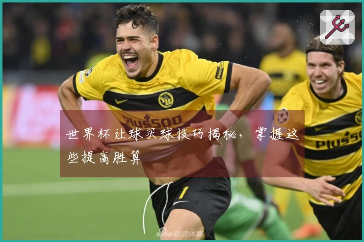 世界杯让球买球技巧揭秘,掌握这些提高胜算