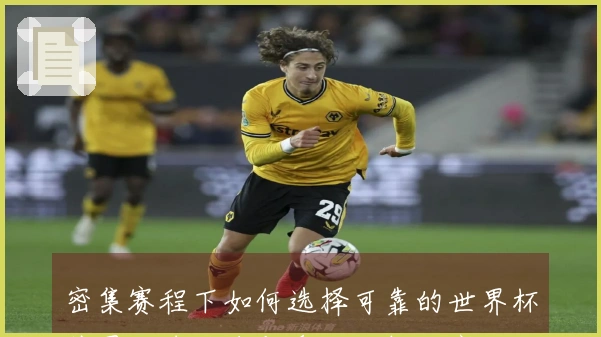 密集赛程下如何选择可靠的世界杯外围买球平台与盘口分析诀窍