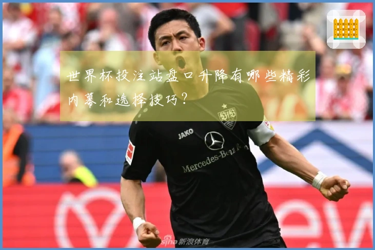 世界杯投注站盘口升降有哪些精彩内幕和选择技巧？