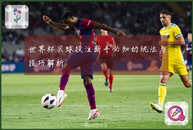 世界杯买球投注新手必知的玩法与技巧解析