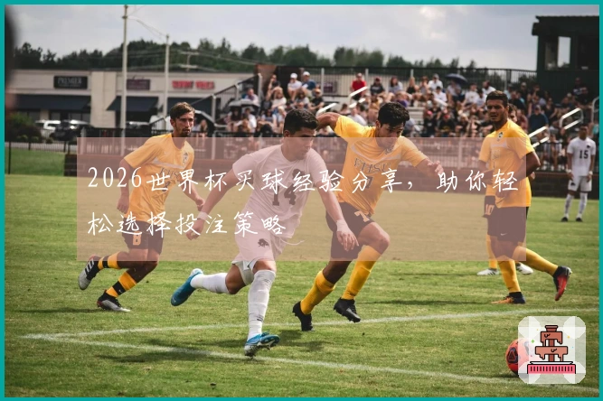 2026世界杯买球经验分享，助你轻松选择投注策略