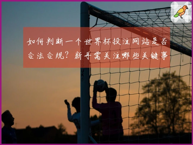 如何判断一个世界杯投注网站是否合法合规？新手需关注哪些关键事项