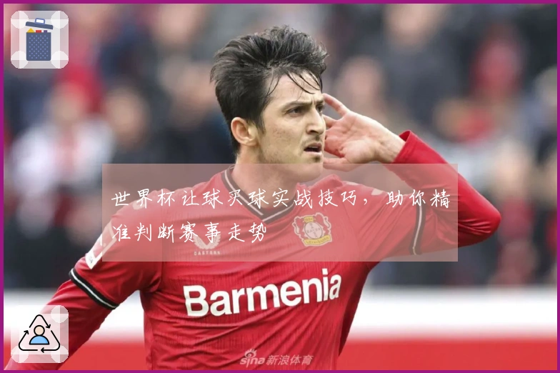 世界杯让球买球实战技巧，助你精准判断赛事走势
