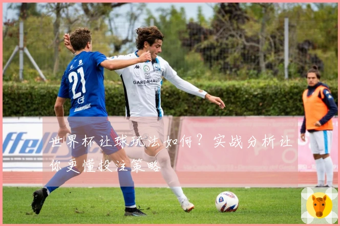 世界杯让球玩法如何?实战分析让你更懂投注策略