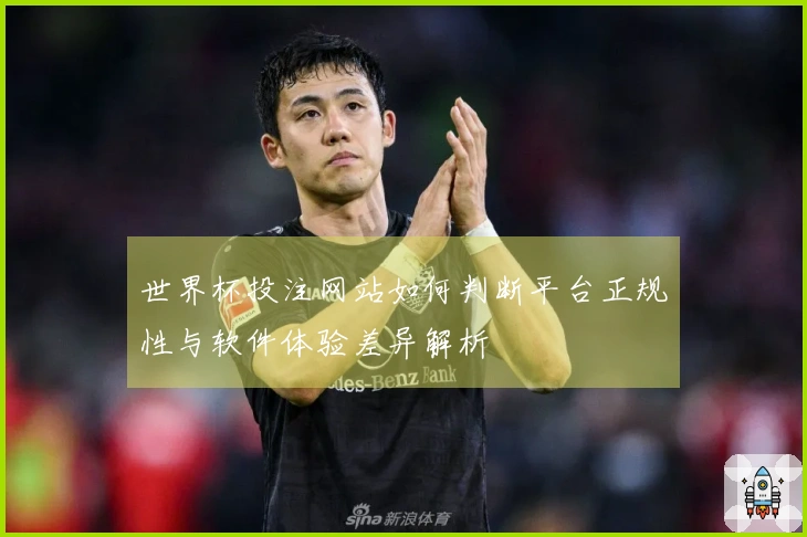 世界杯投注网站如何判断平台正规性与软件体验差异解析