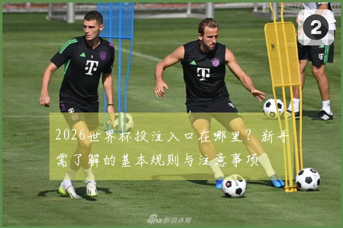 2026世界杯投注入口在哪里？新手需了解的基本规则与注意事项