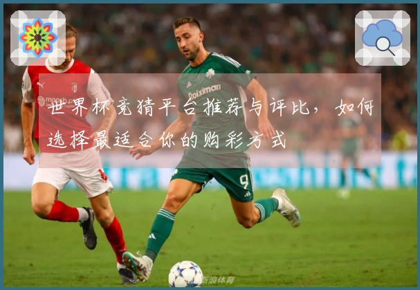 世界杯竞猜平台推荐与评比,如何选择最适合你的购彩方式