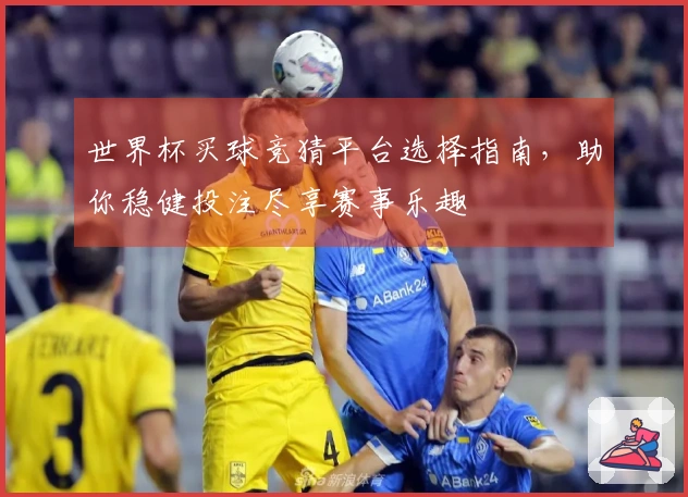世界杯买球竞猜平台选择指南,助你稳健投注尽享赛事乐趣