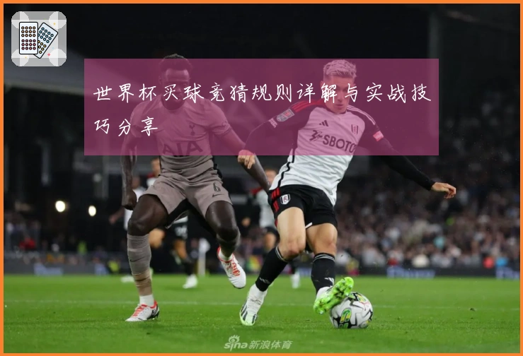 世界杯买球竞猜规则详解与实战技巧分享