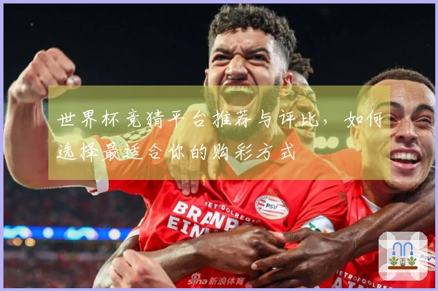 世界杯竞猜平台推荐与评比，如何选择最适合你的购彩方式