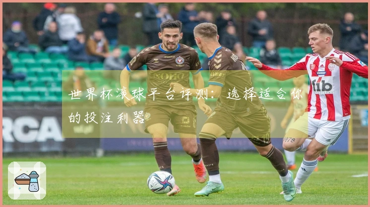 世界杯滚球平台评测：选择适合你的投注利器