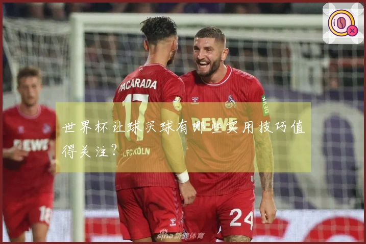 世界杯让球买球有哪些实用技巧值得关注？