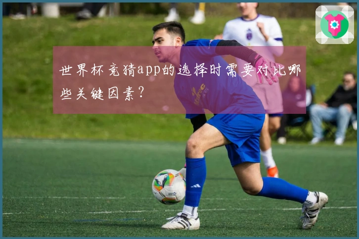 世界杯竞猜app的选择时需要对比哪些关键因素？