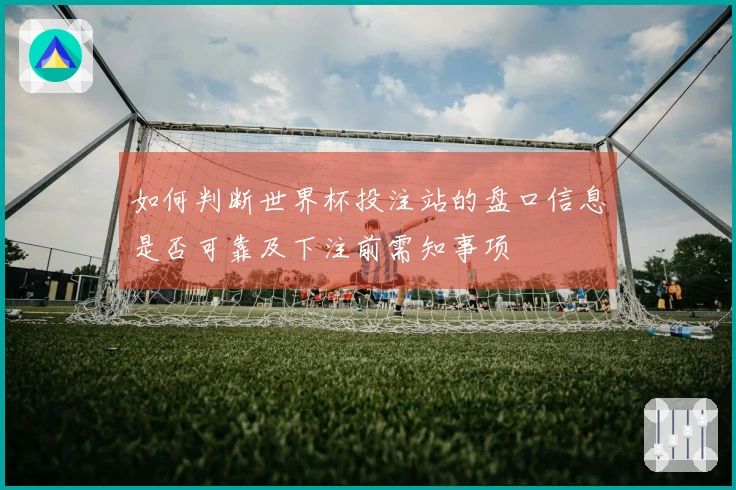 如何判断世界杯投注站的盘口信息是否可靠及下注前需知事项