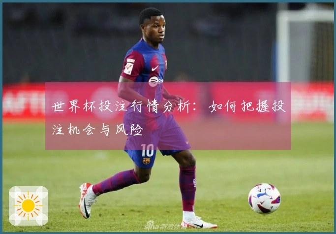 世界杯投注行情分析：如何把握投注机会与风险