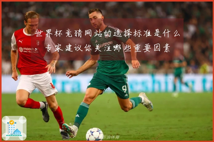 世界杯竞猜网站的选择标准是什么，专家建议你关注哪些重要因素