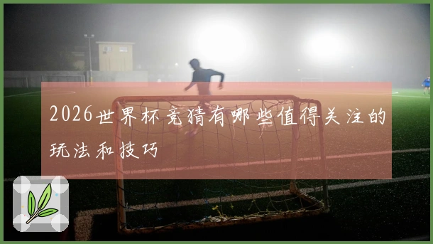 2026世界杯竞猜有哪些值得关注的玩法和技巧